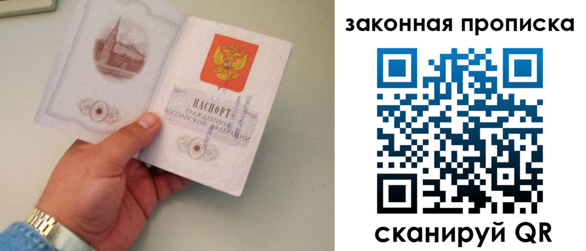 прописка штамп в Палласовке